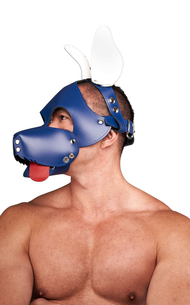 Mister B Leather Circuit Shaggy Dog Hood Blue White