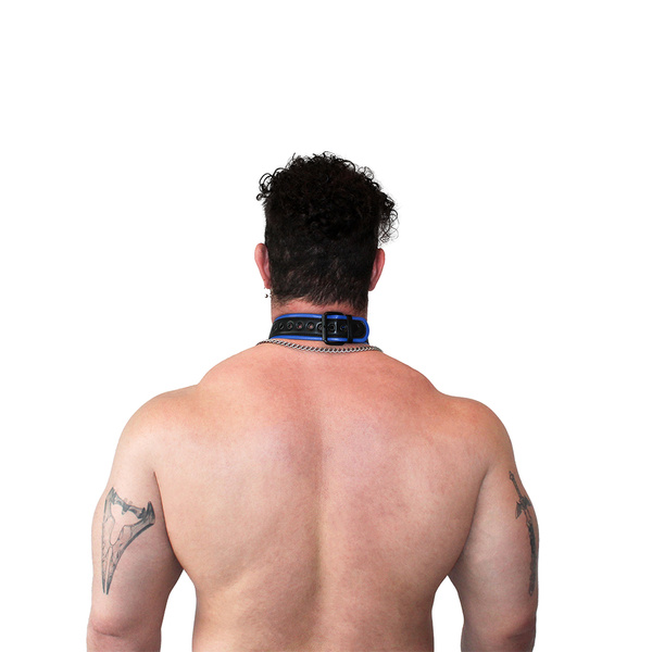 Vegan Puppy Collar Black-Blue Brutus