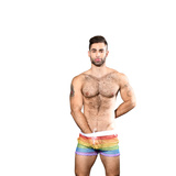 Pride Mesh Stripe Shorts L Andrew Christian