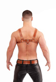 Mister B Leather Chest Harness Saddle Leather Brown S