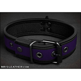 Neo Bold Color Puppy Collar Фіолетовий L-Xxl Mr-S-Leather