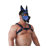 Uprząż Vegan Puppy Harness Black-Blue S/M Brutus