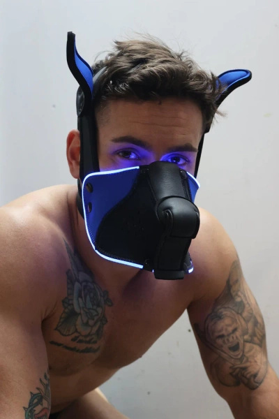 Maska Psa Poundtown Pup Mask 2.0 Blue Breedwell