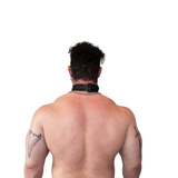 Vegan Puppy Collar Black-Black Brutus