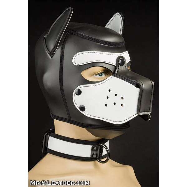 Neo Bold Color Puppy Collar White L-Xxl Mr-S-Leather