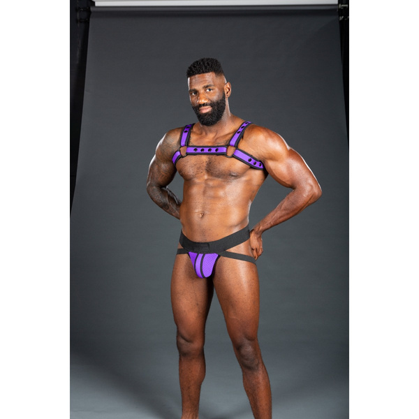 Neo Bold Color Bulldog Harness Purple S/M Mr-S-Leather