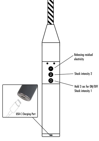Extreme Electro Riding Crop Hidden Desire