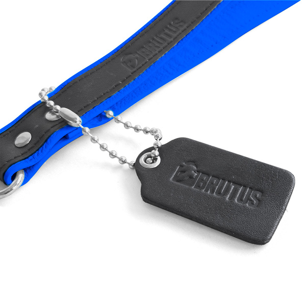 Leather Short Leash Blue Brutus