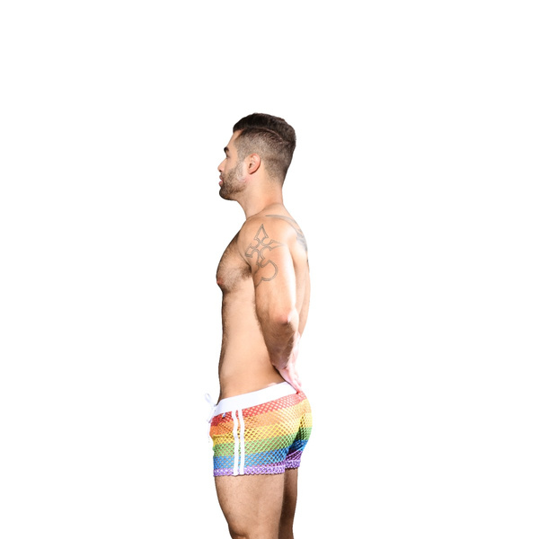 Pride Mesh Stripe Shorts L Andrew Christian