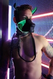 Маска собаки Poundtown Pup Mask 2.0 Neon Green Breedwell