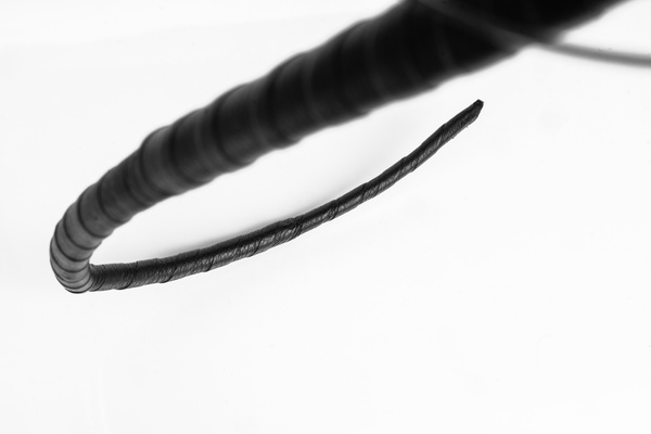 Pig Tail Primal Bond Whips