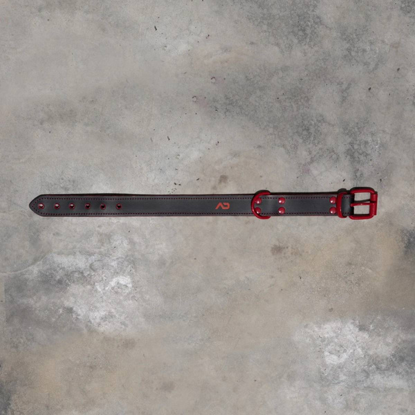 Fetish Leather Collar Red Addicted