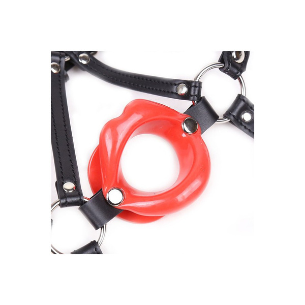 Generique Baillon SM Lips and Harness