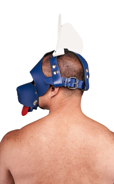 Шкіряний Circuit Shaggy Dog Hood Blue White Mister B