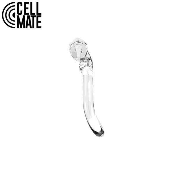 Guardian Chastity Cage Clear Size 4 CELLMATE