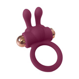 Kalendarz adwentowy Pleasure Box Sexy Calendar Dreamtoys