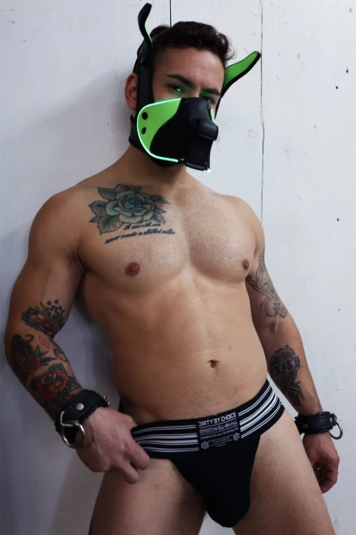 Маска собаки Poundtown Pup Mask 2.0 Neon Green Breedwell