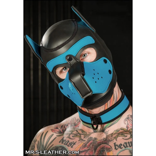 Neo Bold Color Puppy Collar Aqua L-Xxl Mr-S-Leather