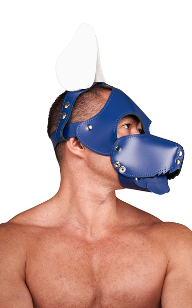 Шкіряний Circuit Shaggy Dog Hood Blue White Mister B