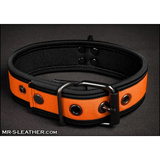 Mr-S-Leather Neo Bold Color Puppy Collar Orange S-L