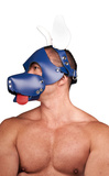 Mister B Leather Circuit Shaggy Dog Hood Blue White