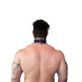 Vegan Puppy Collar Black-Blue Brutus