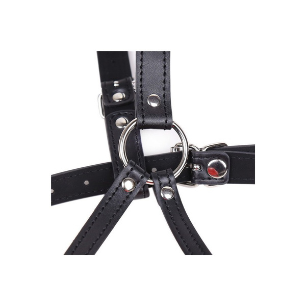 Generique Baillon SM Lips and Harness