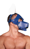 Leather Circuit Shaggy Dog Hood Blue White Mister B
