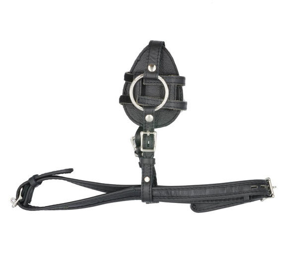 Mister B Leather Butt Plug Harness