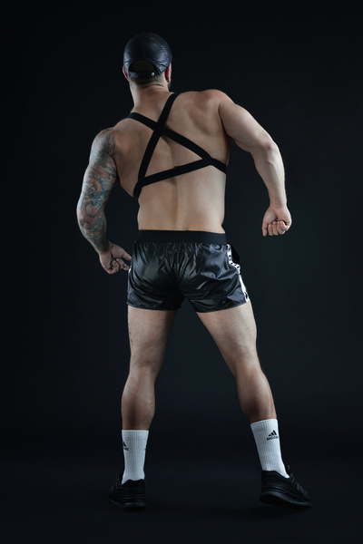 Bull Harness.02 XL