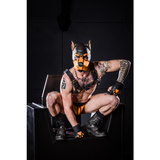 Neoprene K9 Hood Orange S Mr-S-Leather