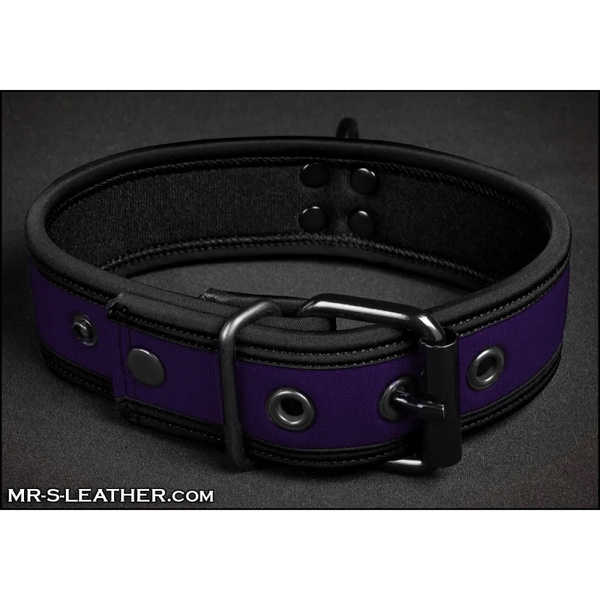 Neo Bold Color Puppy Collar Purple S-L Mr-S-Leather