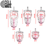 Guardian Chastity Cage Clear Size 4 CELLMATE