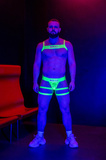 Basic Harness Neon Yellow Xl BULL