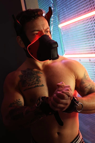 Maska Psa Poundtown Pup Mask 2.0 Red Breedwell