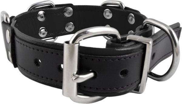 Slave Collar 4 D-Rings (Black/czarny)