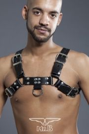 Harness Chest Saddle Leather