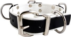 Slave Collar 4 D-Rings (White/biały)
