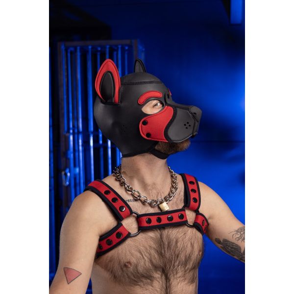 Neoprenowa psia maska bez podbródka czerwona Mr-S-Leather Neoprene Frisky Pup Hood Red 
