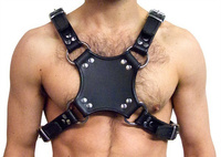 Walking Harness Black/Black Mister B