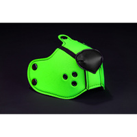 Mr. S Leather K9 Muzzle Lime Mr-S-Leather