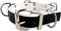 Slave Collar 4 D-Rings (White)