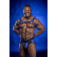 Neo Bold Color Bulldog Harness Royal S/M Mr-S-Leather