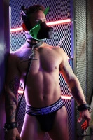 Maska Psa Poundtown Pup Mask 2.0 Neon Green Breedwell