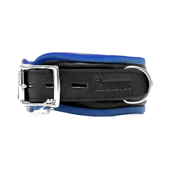 Leather Collar Black/Blue Brutus