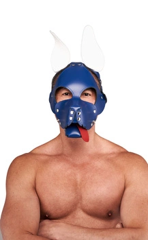 Leather Circuit Shaggy Dog Hood Blue White Mister B
