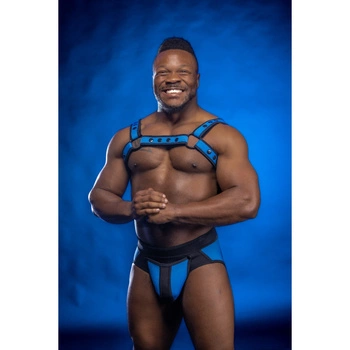 Neo Bold Color Bulldog Harness Cobalt L/Xl Mr-S-Leather
