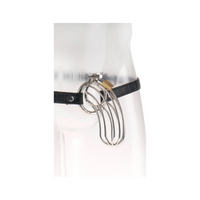 Klatka na penisa Fetish Fantasy Extreme The Prisoner