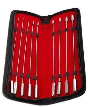 BL 8 Pcs Stainless Steel Rosebud Sounding Set набір зондів для сечовивідної трубки