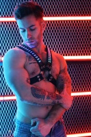 Упряж Soundwave Cross Harness S/M Breedwell